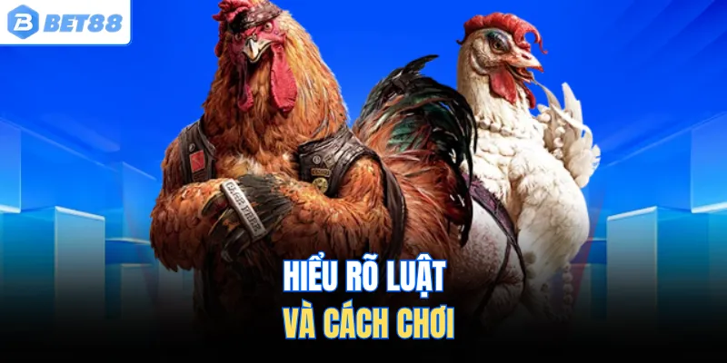 Hiểu rõ luật và cách chơi